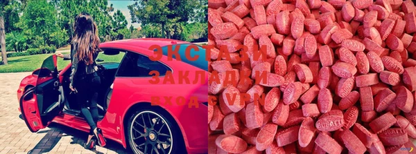 индика Абаза