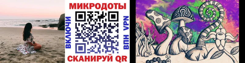 hydra вход  Задонск  Псилоцибиновые грибы Psilocybe 